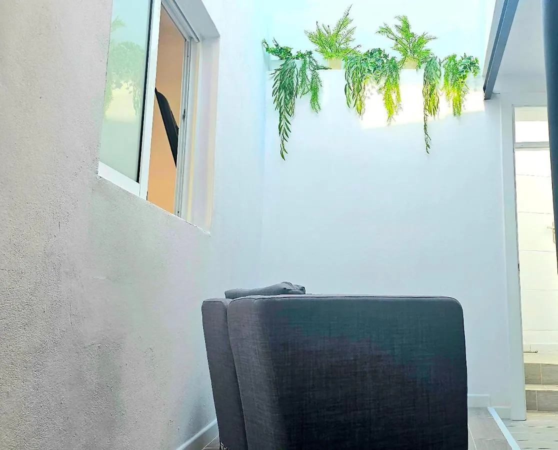 Holiday home Canarian House Casa Esther In Icod De Los Vinos Spain